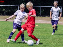 Hillen Cup 2024